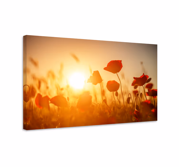 Dipinto con fiori e piante luce di campo di papaveri - TenStickers