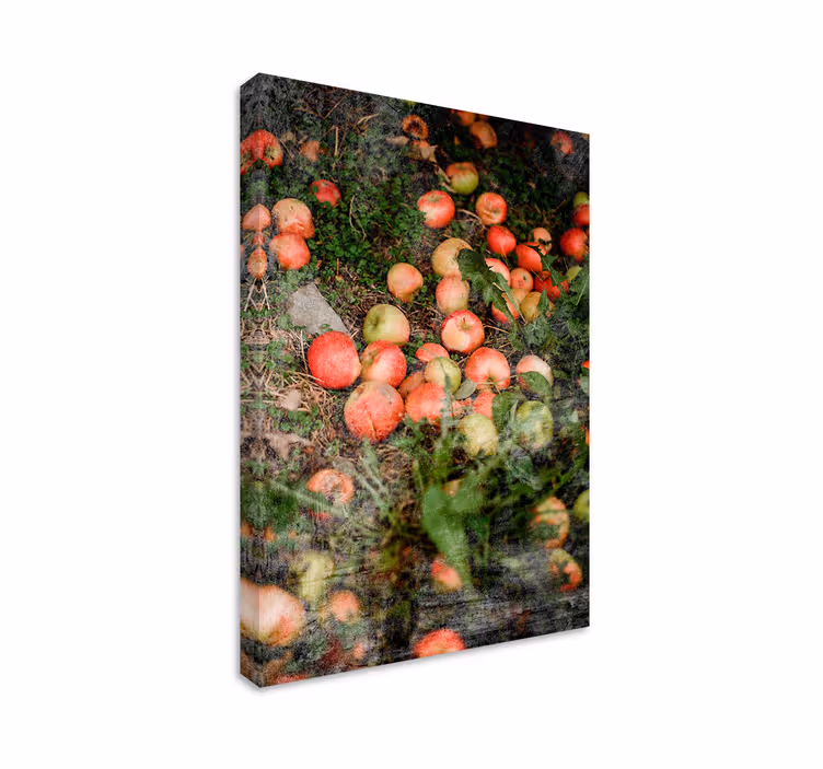 Dipinto con frutta e natura morta mele cadenti - TenStickers