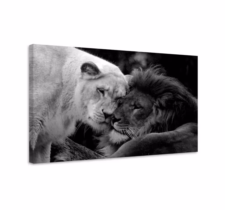 Quadro animali Coppia di leoni in bianco e nero - TenStickers