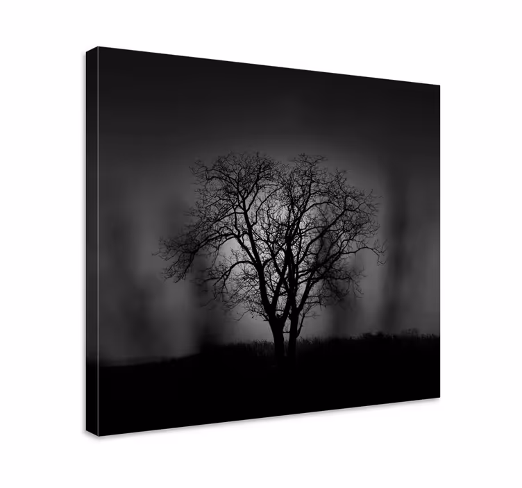 Dipinto alberi silhouette di albero - TenStickers