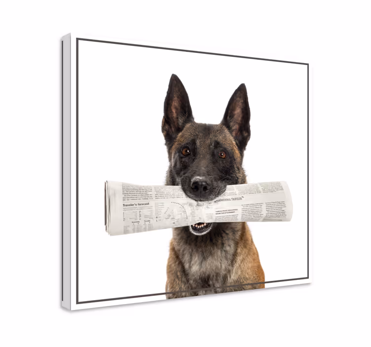 Dipinto cane che porta il giornale - TenStickers
