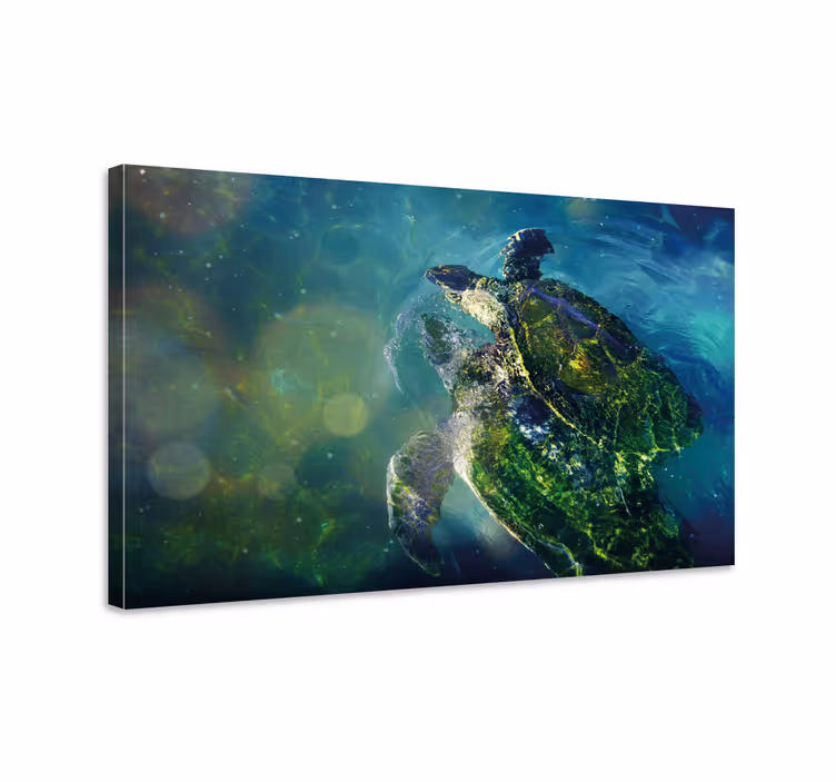 Dipinto con marinaio tartaruga di mare elegante - TenStickers