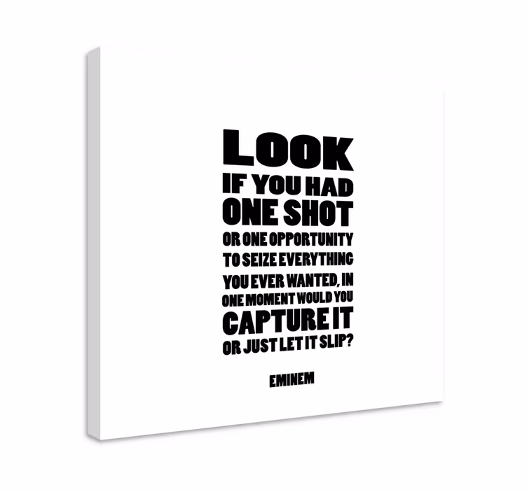 Quadro con canzone di Eminem - TenStickers