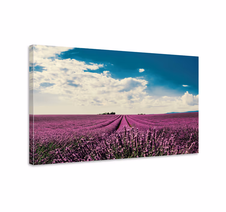 Dipinto con fiori e piante paesaggio di lavanda - TenStickers