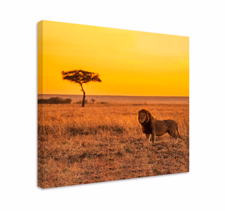 Quadro animali Albero della savana selvaggia la sera - TenStickers