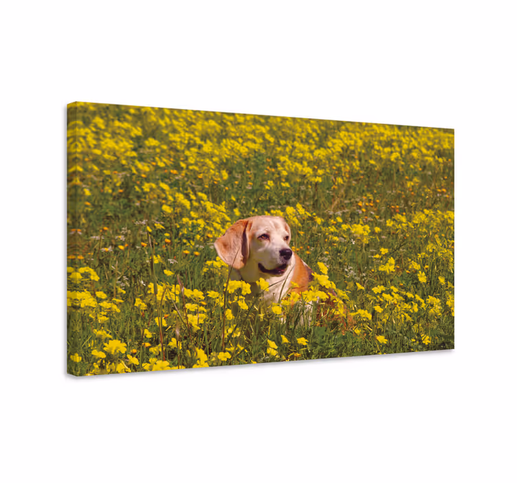 Dipinto cane felice cagnolino all'aria aperta - TenStickers