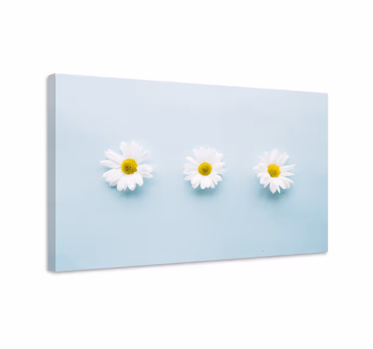 Dipinto con fiori e piante trio di margherite - TenStickers