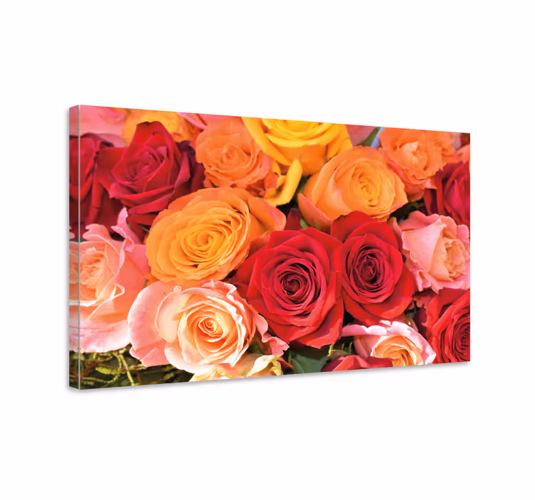 Quadro con fiori rose rosse e rosa arancio - TenStickers