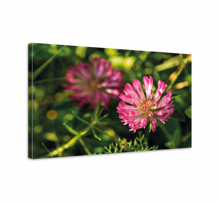 Dipinto con fiori e piante mazzo di fiori rosa - TenStickers