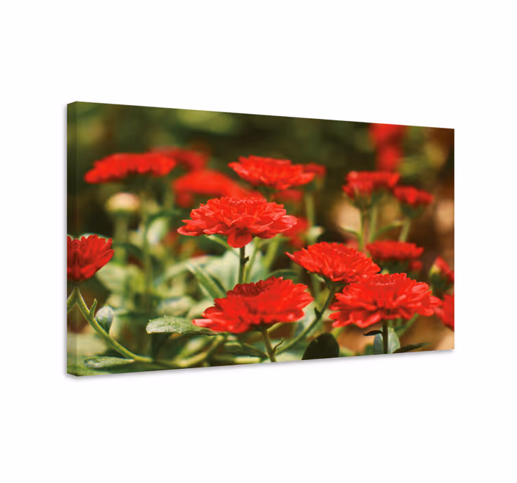 Dipinto con fiori e piante fiori rossi in fiore - TenStickers