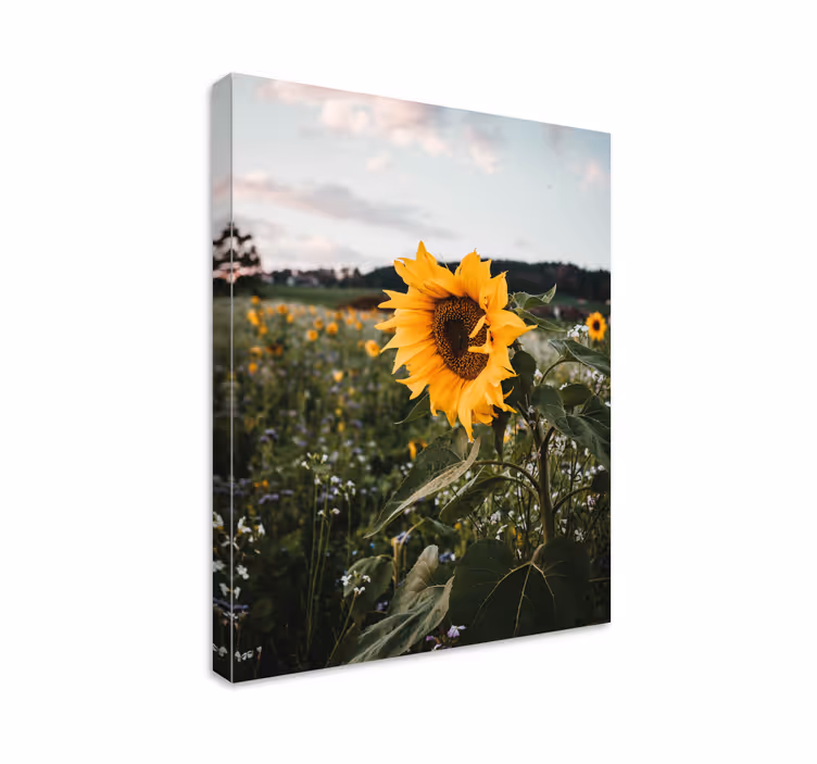 Dipinto con fiori e piante campo di girasoli - TenStickers