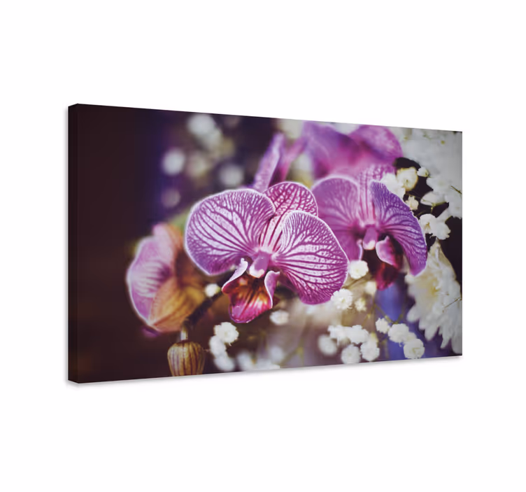 Dipinto con fiori e piante dettaglio fiori di orchidea - TenStickers