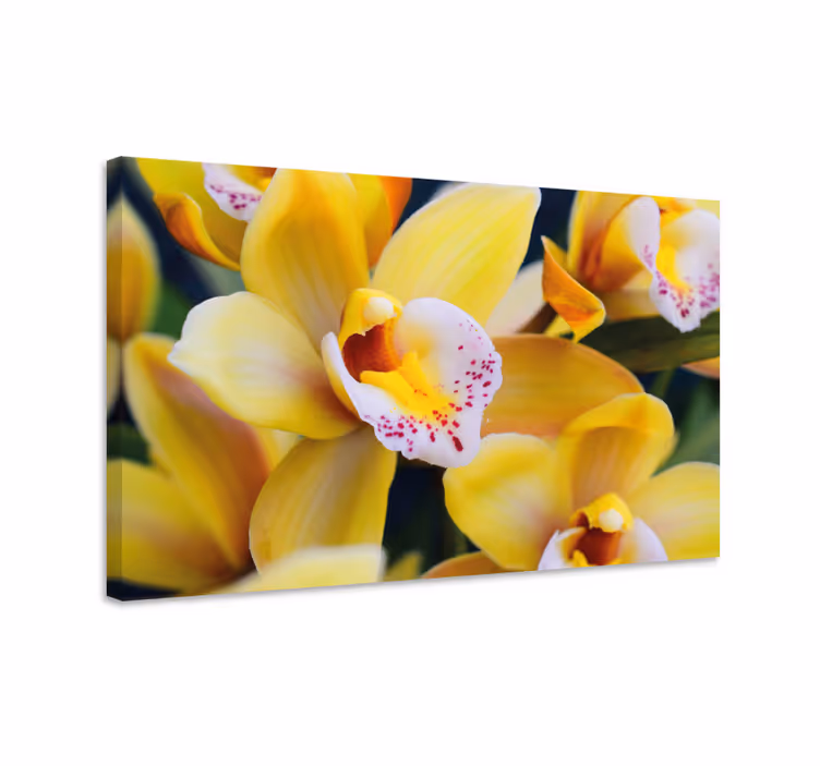 Dipinto con fiori e piante fioriture di orchidee vibrant - TenStickers