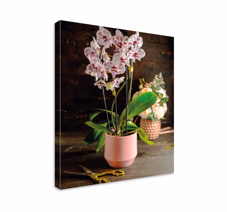 Dipinto con fiori e piante disposizione delle orchidee - TenStickers