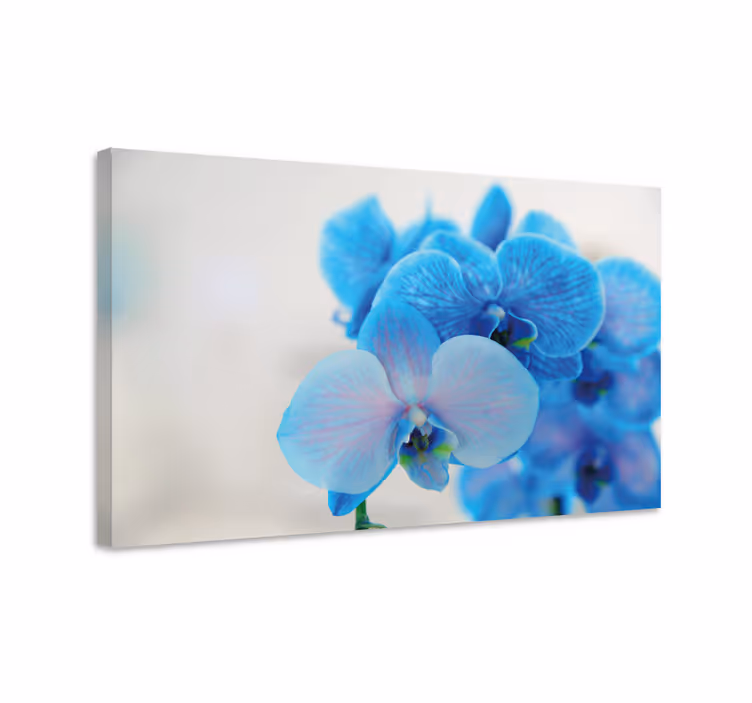 Dipinto con fiori e piante fiori di orchidea blu - TenStickers