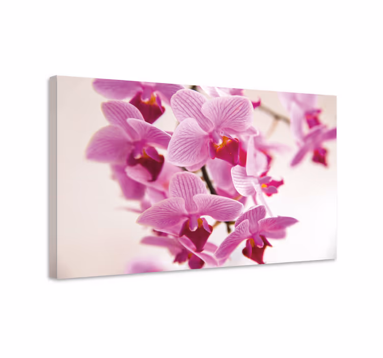 Dipinto con fiori e piante fiori di orchidea delicati - TenStickers