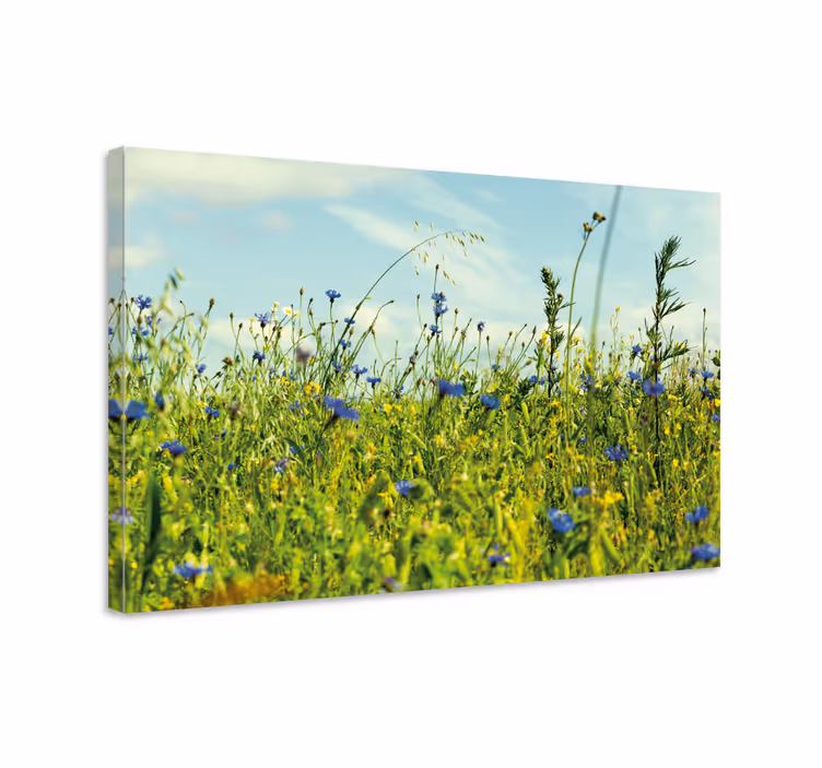 Dipinto con fiori e piante scena di prato fiorito - TenStickers