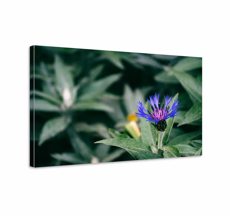 Dipinto con fiori e piante fiore viola delicato - TenStickers