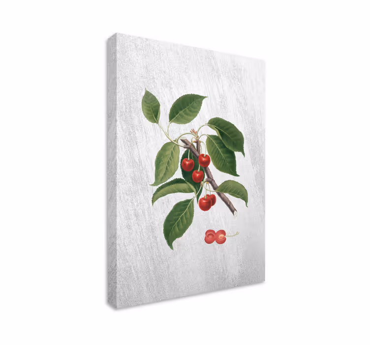 Dipinto con frutta e natura morta ramo di ciliegio - TenStickers