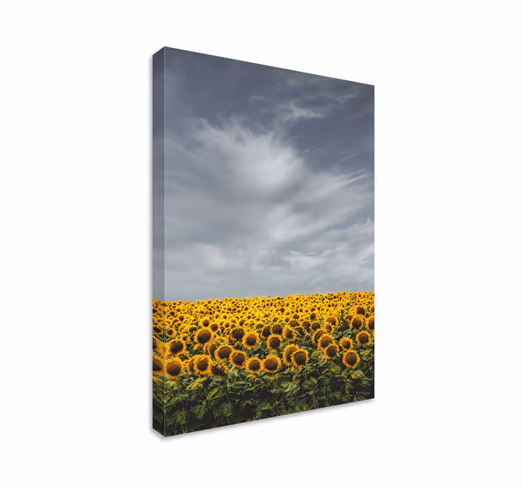 Dipinto con fiori e piante prato di girasoli - TenStickers
