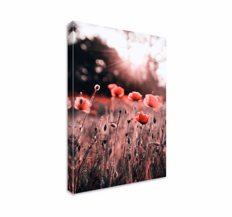 Dipinto con fiori e piante radianza di papaveri - TenStickers