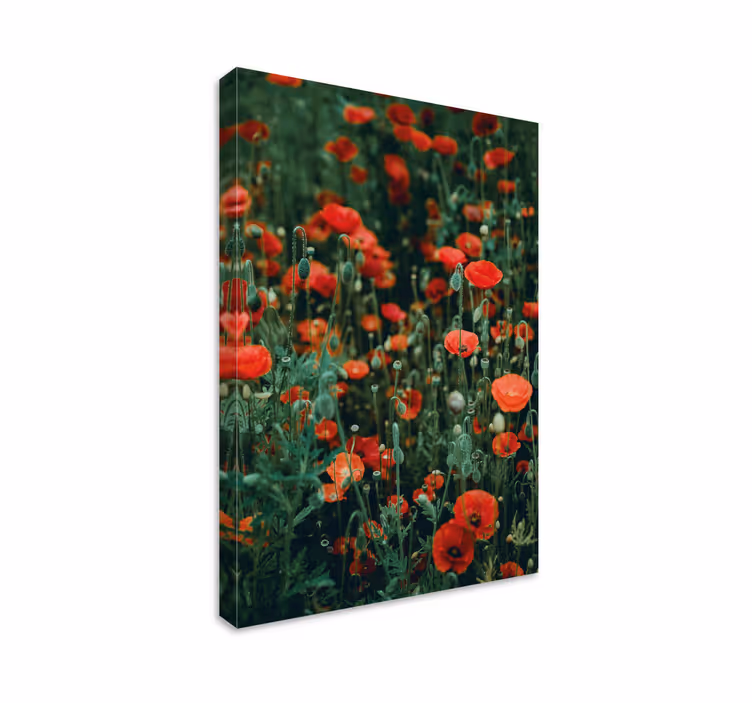 Dipinto con fiori e piante campo di fiori rossi - TenStickers