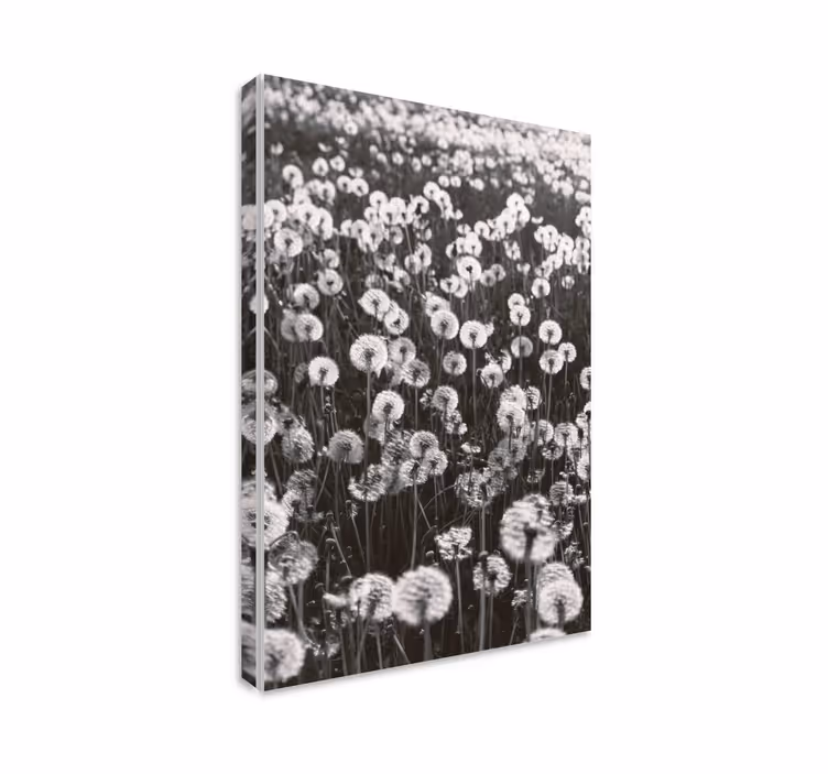 Dipinto con fiori e piante fiori di dente di leone - TenStickers