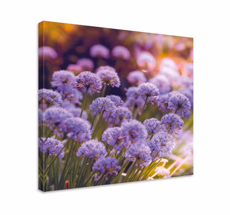 Dipinto con fiori e piante fiori viola vibranti - TenStickers