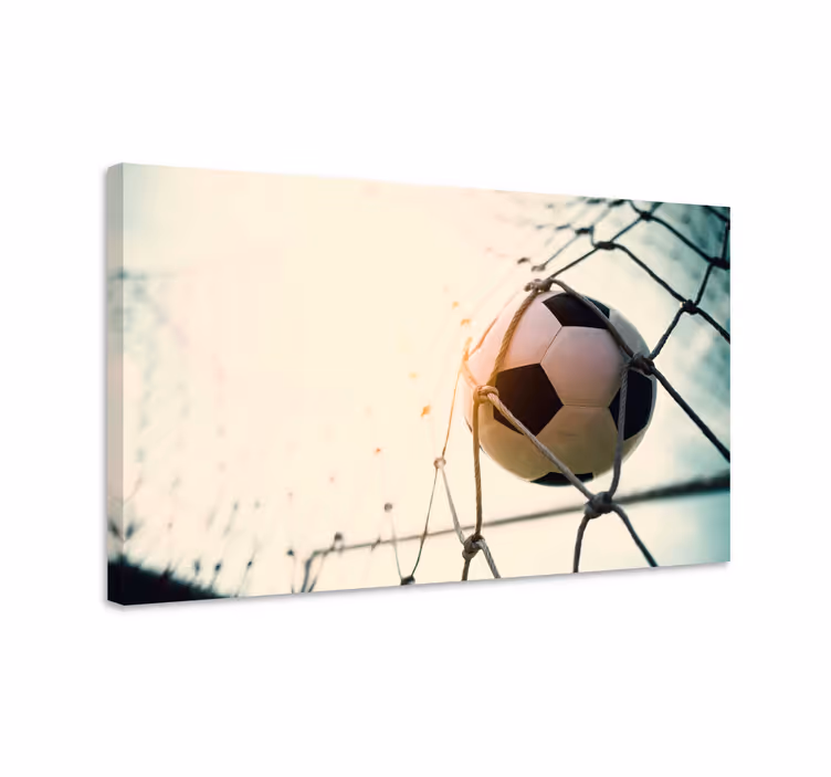 Quadri sportivi rete per palloni da calcio - TenStickers