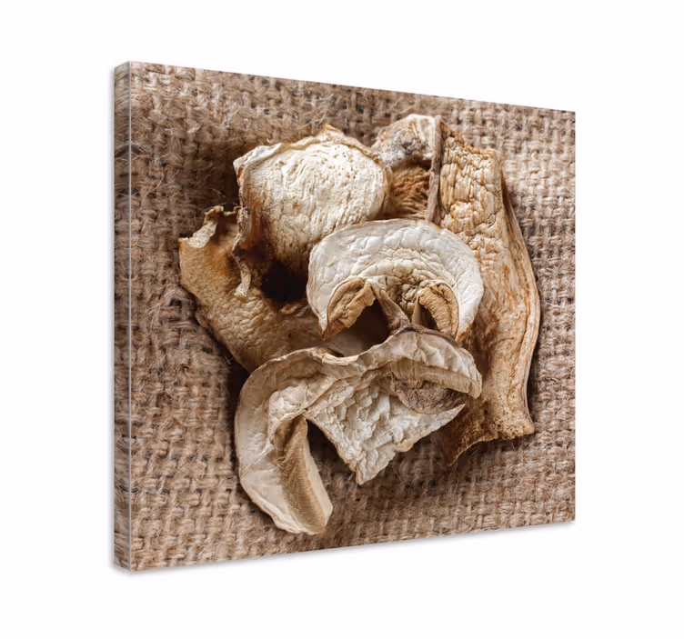 Dipinto con fiori e piante composizione di funghi secchi - TenStickers