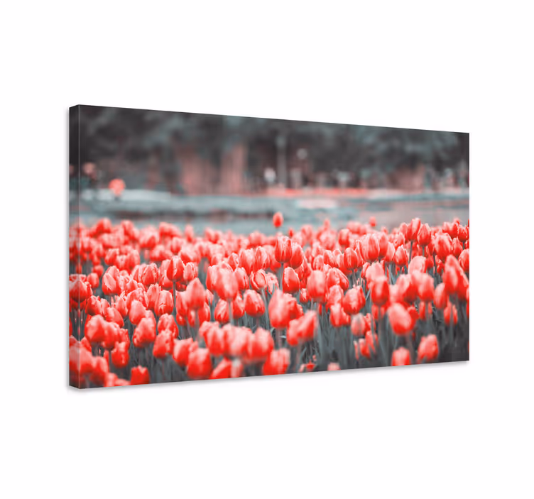 Dipinto con fiori e piante campo di tulipani vibranti - TenStickers