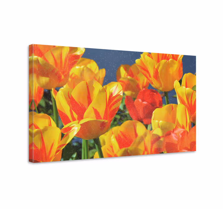 Dipinto con fiori e piante tulipani vibranti - TenStickers