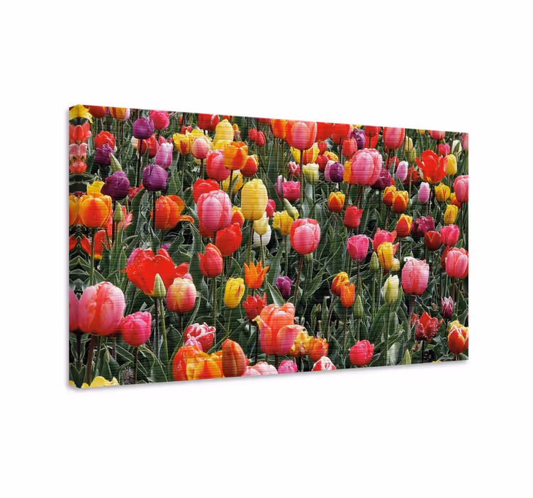 Dipinto con fiori e piante fiori di tulipano colorati - TenStickers