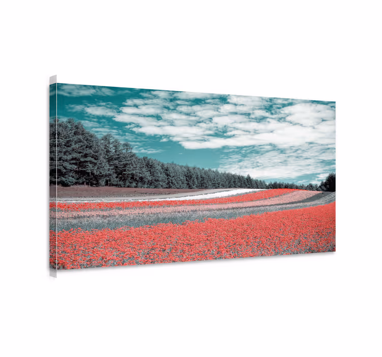 Dipinto di paesaggio campo di fiori vibranti - TenStickers
