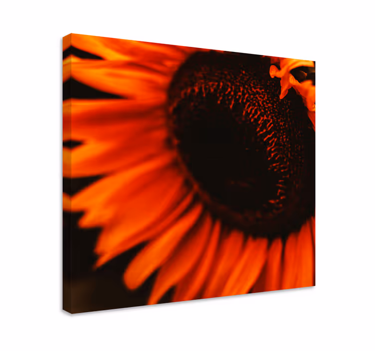 Dipinto con fiori e piante fiore di girasole radioso - TenStickers