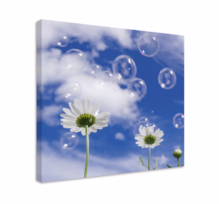 Dipinto con fiori e piante margherite e bolle - TenStickers
