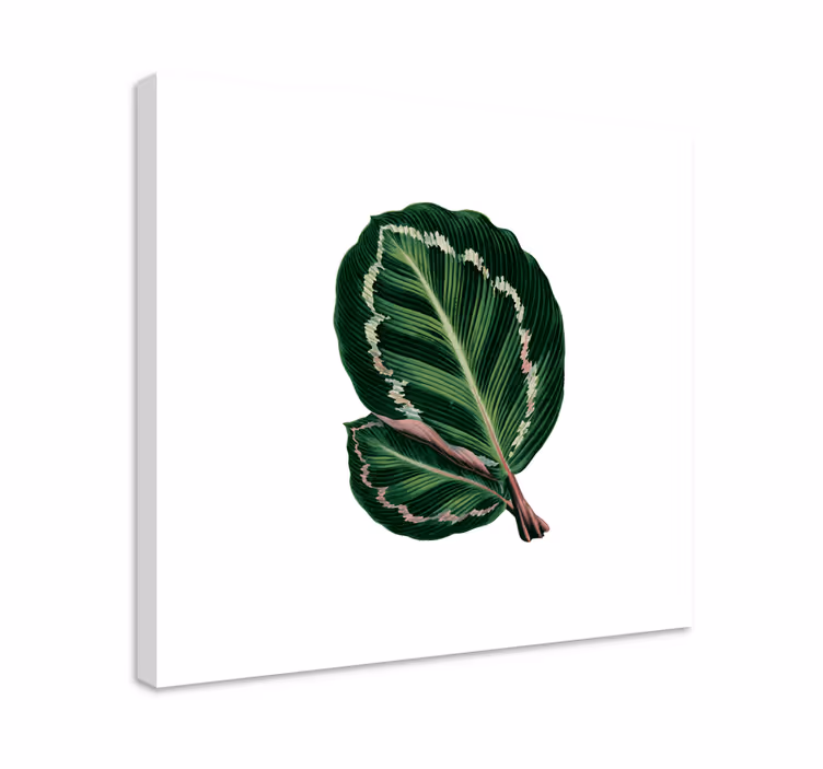 Dipinto con fiori e piante design a grandi foglie - TenStickers