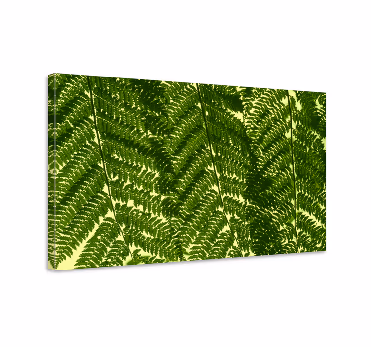 Dipinto con fiori e piante foglie di felce display - TenStickers