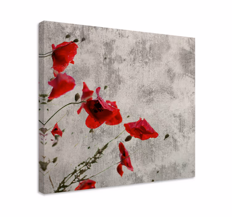 Dipinto con fiori e piante fiori di papavero rosso - TenStickers