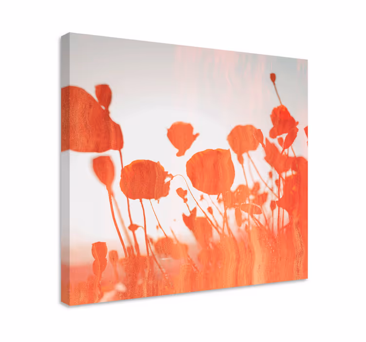 Dipinto con fiori e piante papaveri in fiore delicati - TenStickers