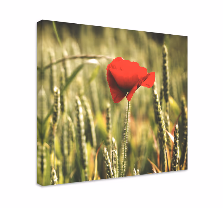 Dipinto con fiori e piante fiore rosso in fiore - TenStickers