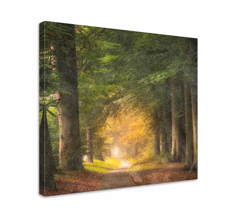 Dipinto di paesaggio tranquillità del sentiero boschivo - TenStickers