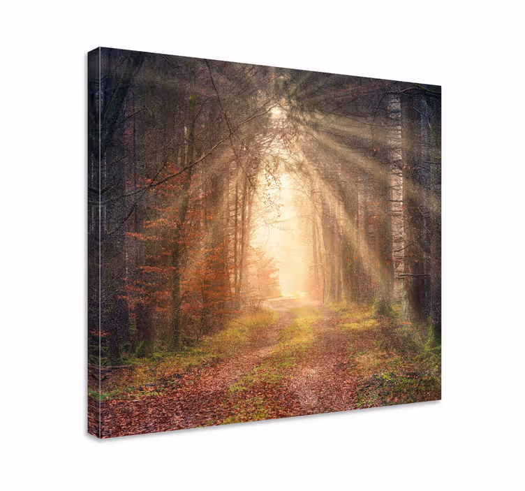 Dipinto di paesaggio sentiero forestale sereno - TenStickers