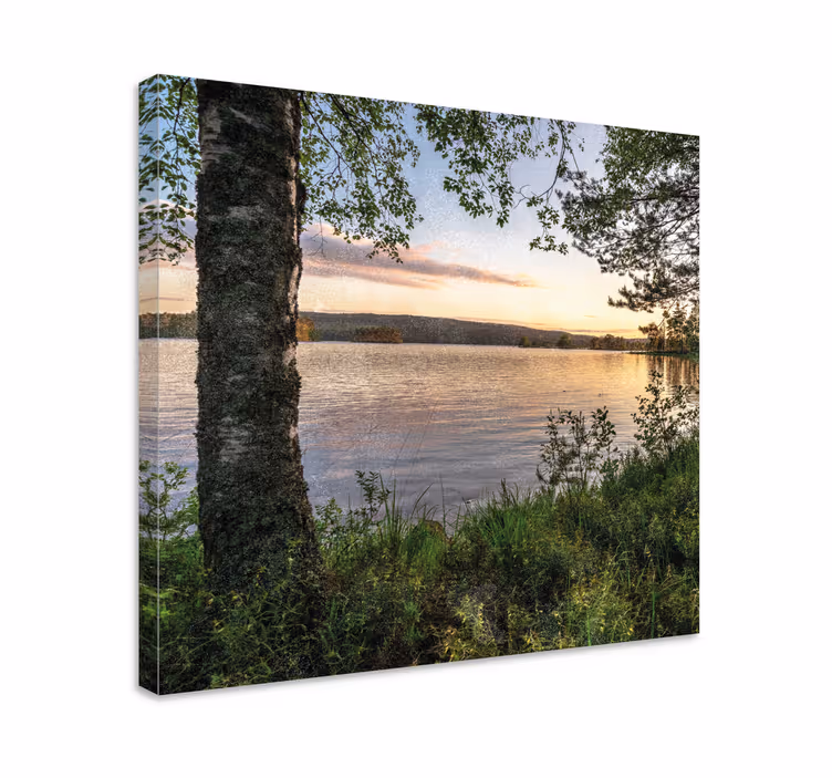 Dipinto di paesaggio lago sereno al tramonto - TenStickers