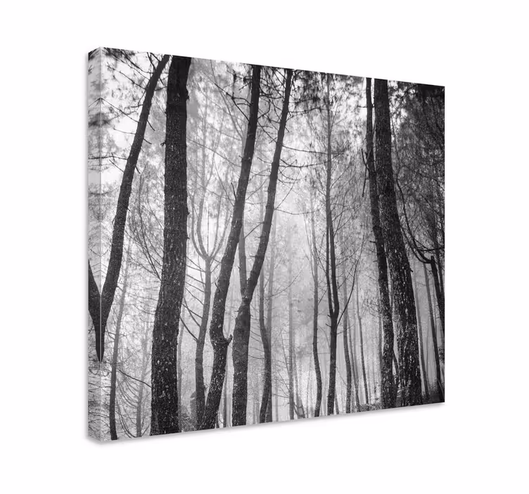Quadro di paesaggio Foresta nebbiosa dall'alto - TenStickers