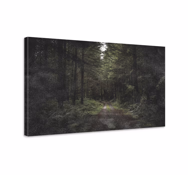Dipinto di paesaggio sentiero nel bosco sereno - TenStickers