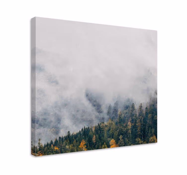Dipinto alberi paesaggio forestale nebbioso - TenStickers