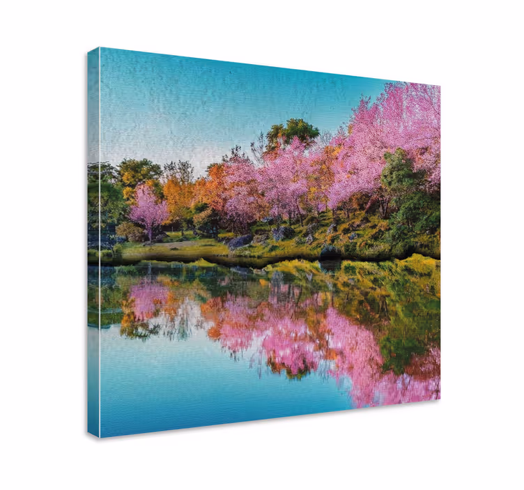 Dipinto di paesaggio riflesso dei fiori di ciliegio - TenStickers