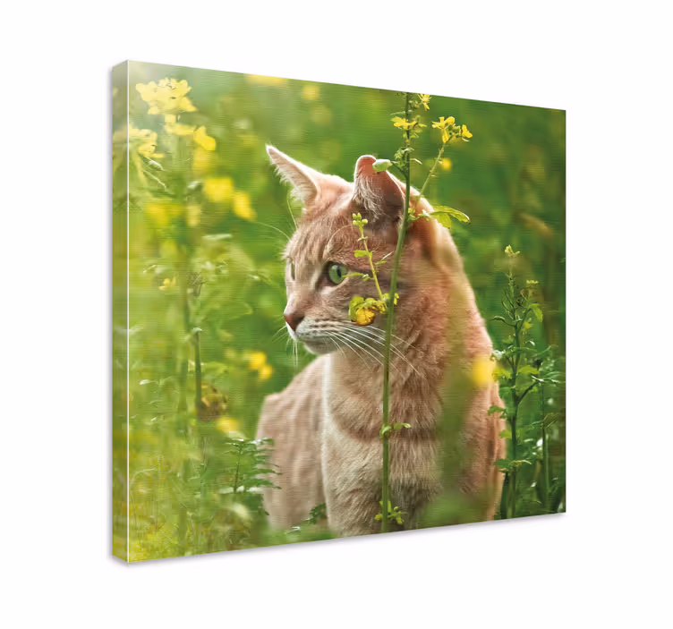 Dipinto gatto feline curioso in passeggiata - TenStickers