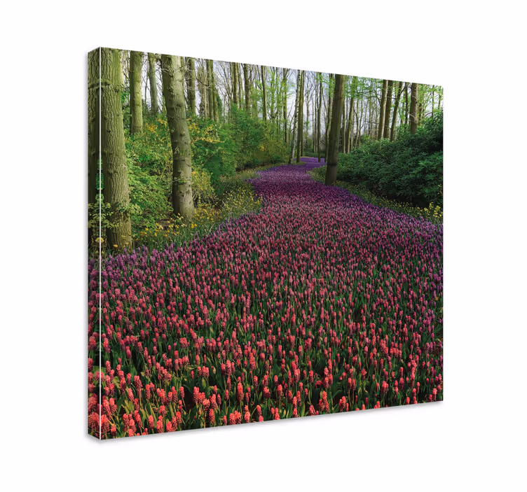 Dipinto con fiori e piante sentiero fiorito - TenStickers